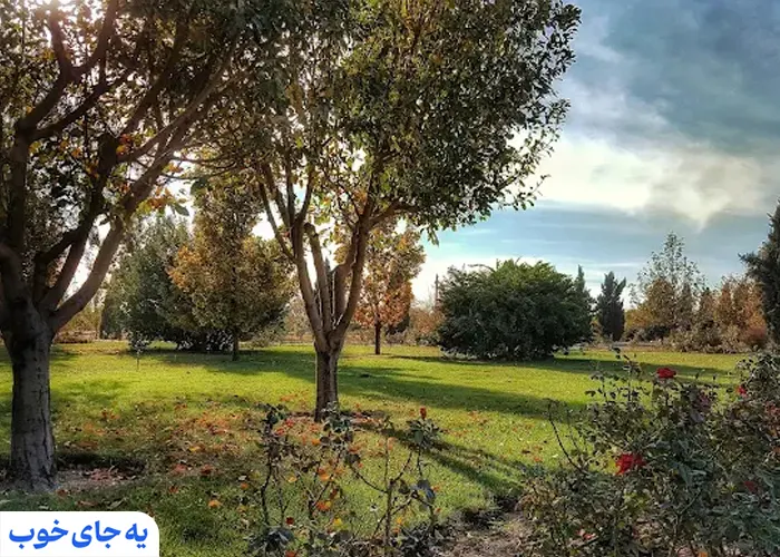 چمنزارهای آمریکای شمالی